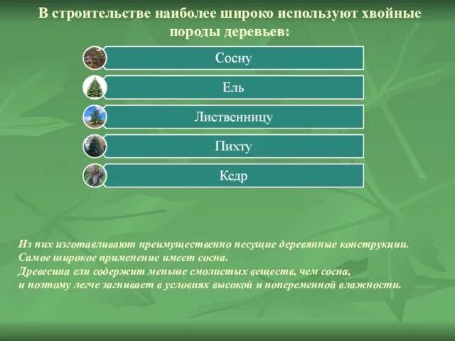 В строительстве наиболее широко используют хвойные породы деревьев: Из них изготавливают преимущественно