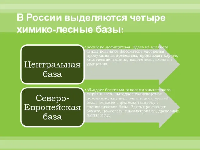 В России выделяются четыре химико-лесные базы: