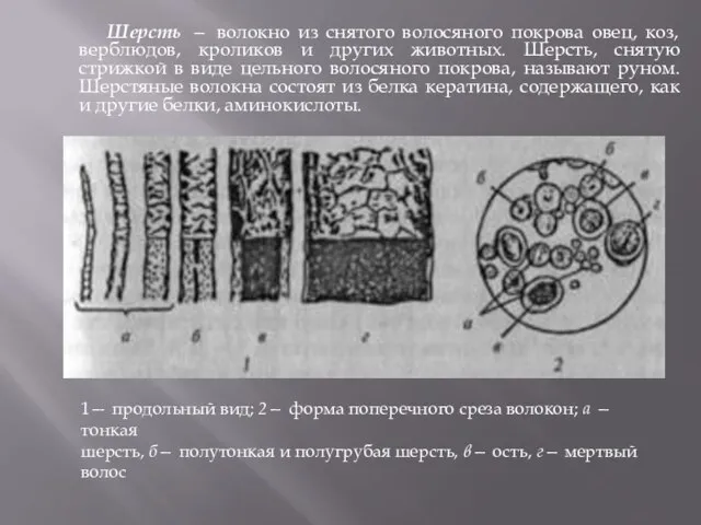 Шерсть — волокно из снятого волосяного покрова овец, коз, верблюдов, кроликов и