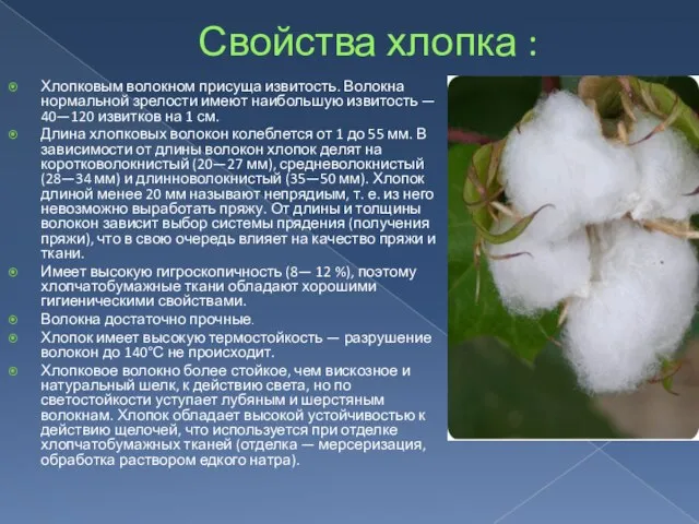 Свойства хлопка : Хлопковым волокном присуща извитость. Волокна нормальной зрелости имеют наибольшую