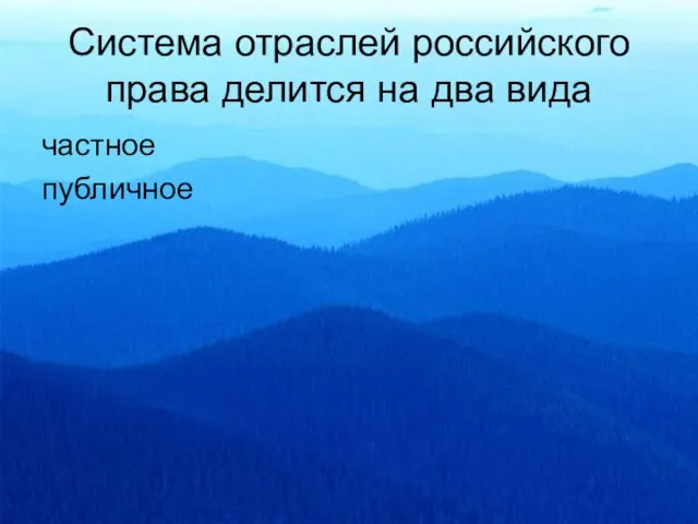 Система отраслей российского права делится на два вида частное публичное