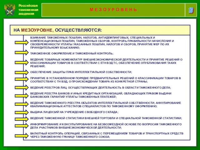 Российская таможенная академия 13 М Е З О У Р О В