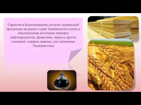 Гарантия в беспошлинном доступе таджикской продукции на рынок стран Таможенного союза и