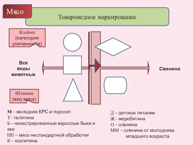 Товароведное маркирование Мясо Все виды животных Свинина М – молодняк КРС и