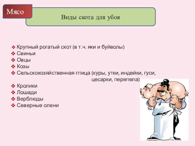 Виды скота для убоя Мясо Крупный рогатый скот (в т.ч. яки и