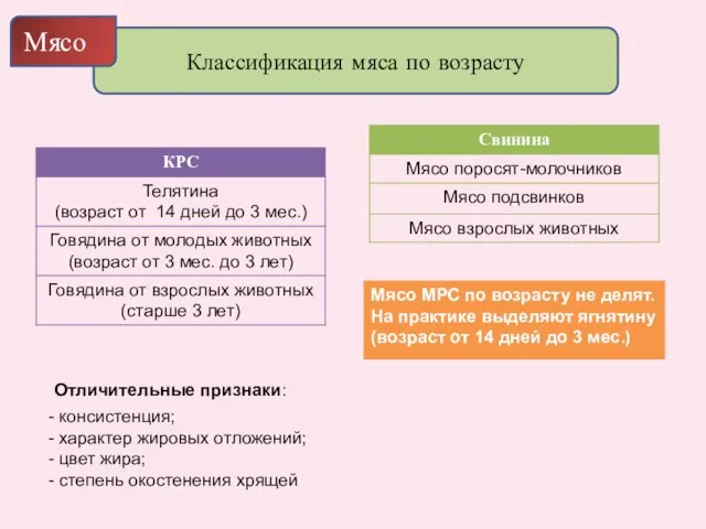 Классификация мяса по возрасту Мясо Отличительные признаки: консистенция; характер жировых отложений; цвет жира; степень окостенения хрящей