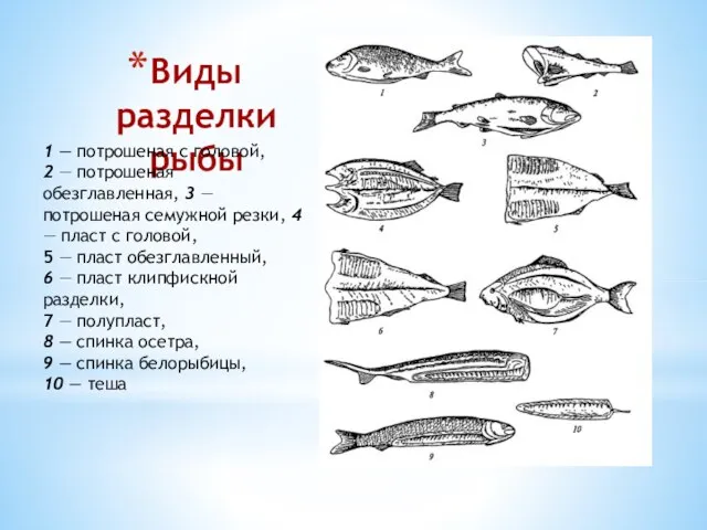 Виды разделки рыбы 10 1 — потрошеная с головой, 2 — потрошеная