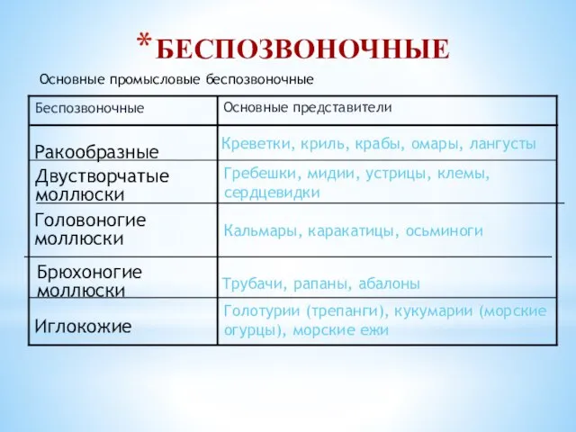 Основные промысловые беспозвоночные БЕСПОЗВОНОЧНЫЕ Голотурии (трепанги), кукумарии (морские огурцы), морские ежи Иглокожие