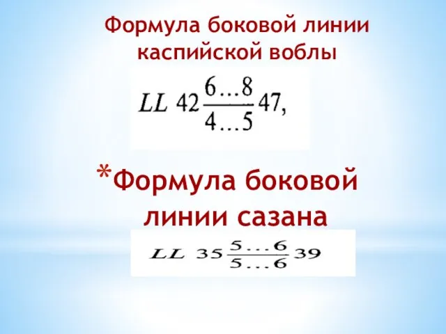 Формула боковой линии сазана Формула боковой линии каспийской воблы