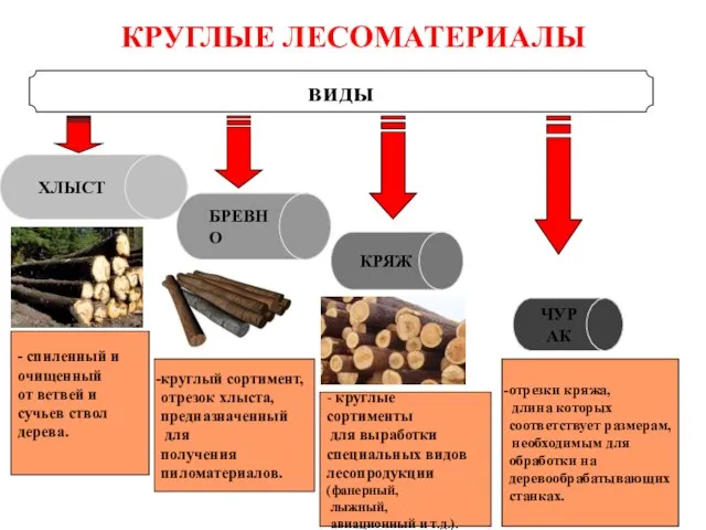 КРУГЛЫЕ ЛЕСОМАТЕРИАЛЫ виды ХЛЫСТ БРЕВНО КРЯЖ ЧУРАК - спиленный и очищенный от