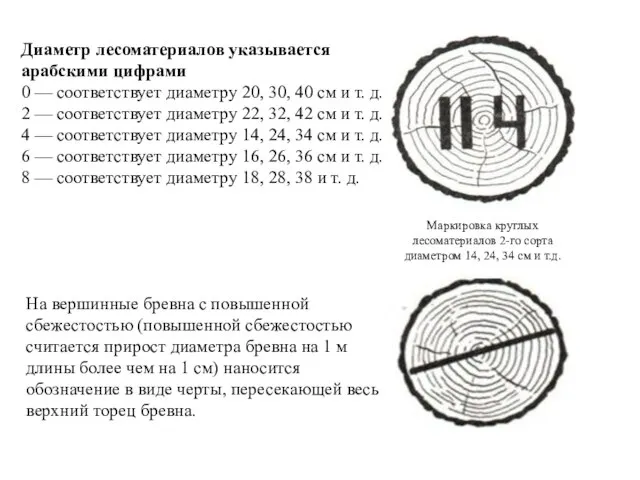 Диаметр лесоматериалов указывается арабскими цифрами 0 — соответствует диаметру 20, 30, 40