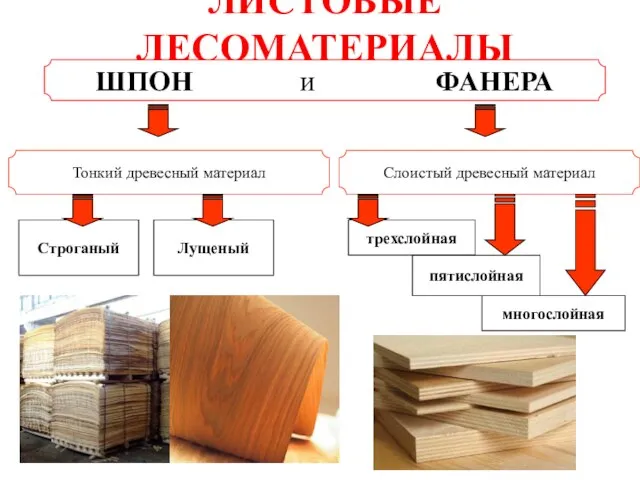 ЛИСТОВЫЕ ЛЕСОМАТЕРИАЛЫ ШПОН и ФАНЕРА Строганый трехслойная Слоистый древесный материал Тонкий древесный материал Лущеный пятислойная многослойная