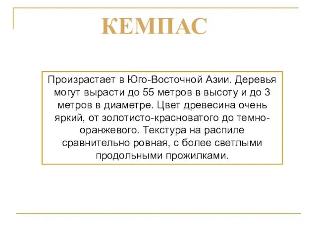 Произрастает в Юго-Восточной Азии. Деревья могут вырасти до 55 метров в высоту