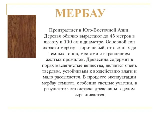 Произрастает в Юго-Восточной Азии. Деревья обычно вырастают до 45 метров в высоту