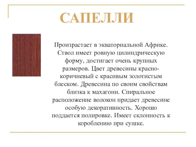 Произрастает в экваториальной Африке. Ствол имеет ровную цилиндрическую форму, достигает очень крупных