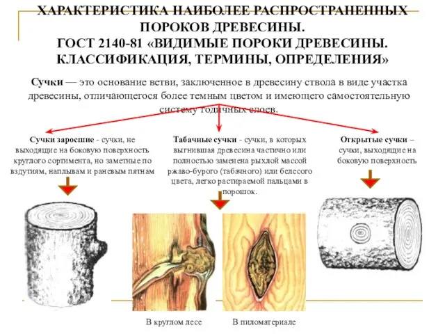 ХАРАКТЕРИСТИКА НАИБОЛЕЕ РАСПРОСТРАНЕННЫХ ПОРОКОВ ДРЕВЕСИНЫ. ГОСТ 2140-81 «ВИДИМЫЕ ПОРОКИ ДРЕВЕСИНЫ. КЛАССИФИКАЦИЯ, ТЕРМИНЫ,