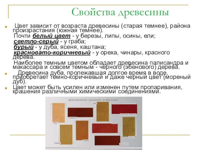 Свойства древесины Цвет зависит от возраста древесины (старая темнее), района произрастания (южная