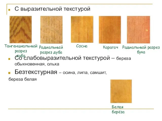 С выразительной текстурой Со слабовыразительной текстурой – береза обыкновенная, ольха Безтекстурная –