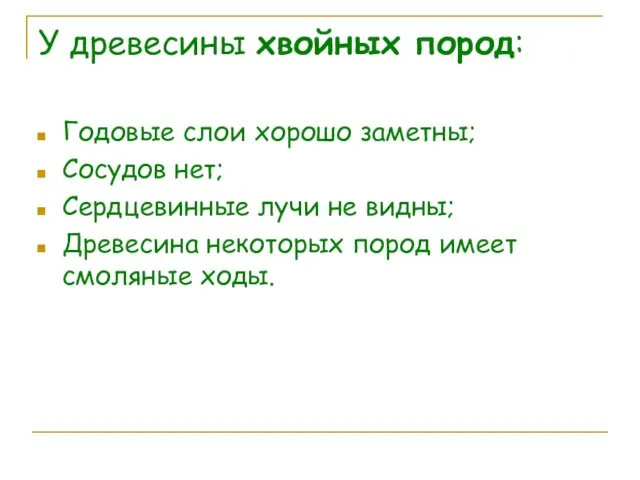 У древесины хвойных пород: Годовые слои хорошо заметны; Сосудов нет; Сердцевинные лучи