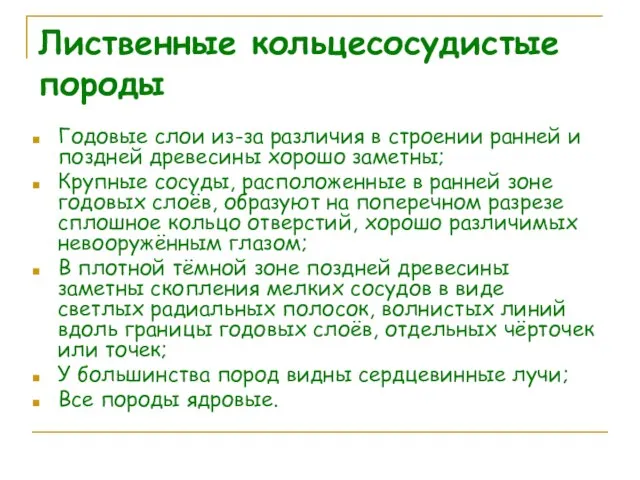 Лиственные кольцесосудистые породы Годовые слои из-за различия в строении ранней и поздней