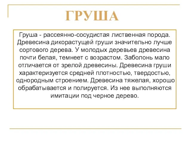 Груша - рассеянно-сосудистая лиственная порода. Древесина дикорастущей груши значительно лучше сортового дерева.