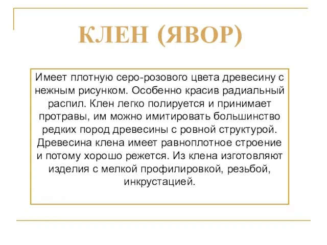 Имеет плотную серо-розового цвета древесину с нежным рисунком. Особенно красив радиальный распил.