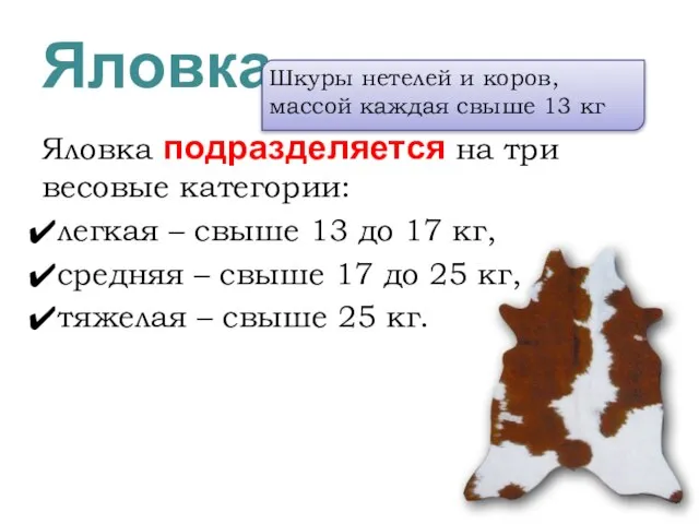 Яловка Яловка подразделяется на три весовые категории: легкая – свыше 13 до