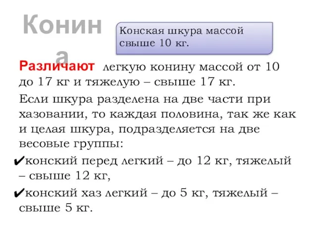 Конина Различают легкую конину массой от 10 до 17 кг и тяжелую