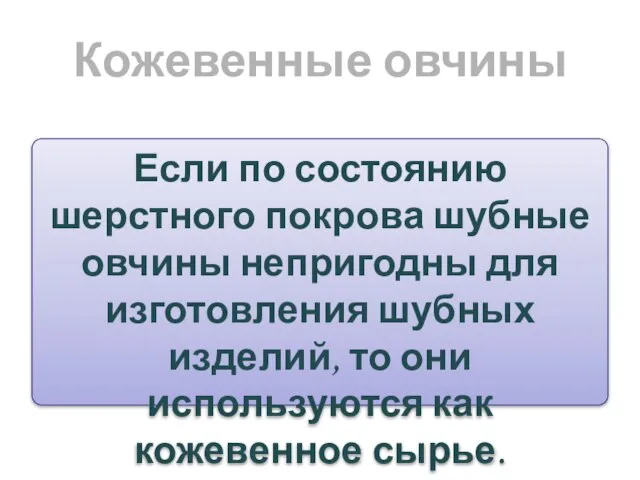 Кожевенные овчины Если по состоянию шерстного покрова шубные овчины непригодны для изготовления