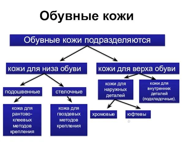 Обувные кожи Обувные кожи подразделяются кожи для низа обуви кожи для верха