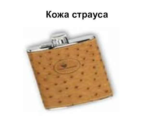 Кожа страуса