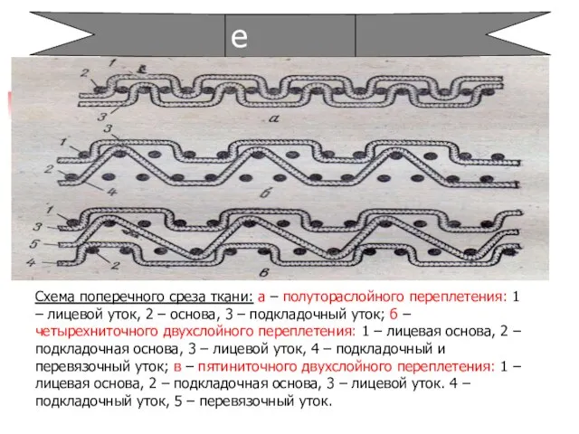 Сложные Схема поперечного среза ткани: а – полутораслойного переплетения: 1 – лицевой