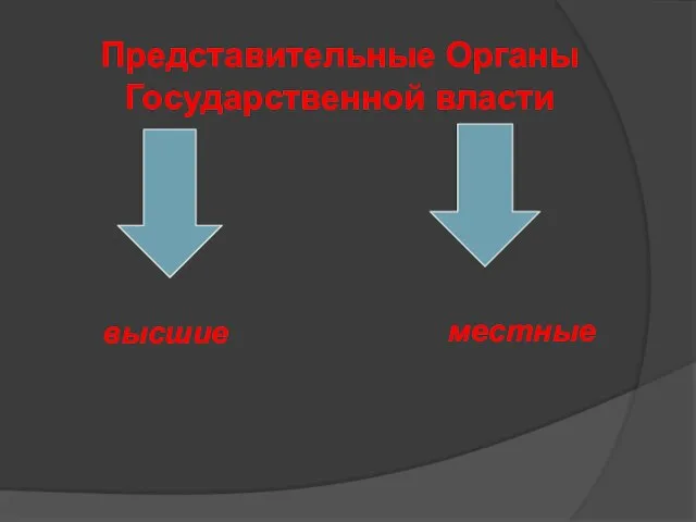 Представительные Органы Государственной власти высшие местные