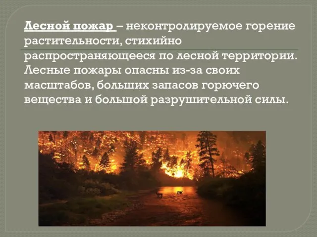 Лесной пожар – неконтролируемое горение растительности, стихийно распространяющееся по лесной территории. Лесные