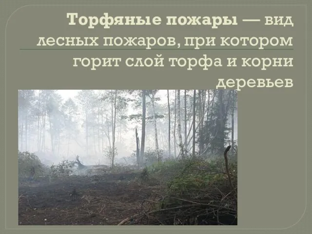 Торфяные пожары — вид лесных пожаров, при котором горит слой торфа и корни деревьев