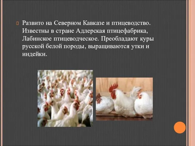Развито на Северном Кавказе и птицеводство. Известны в стране Адлерская птицефабрика, Лабинское