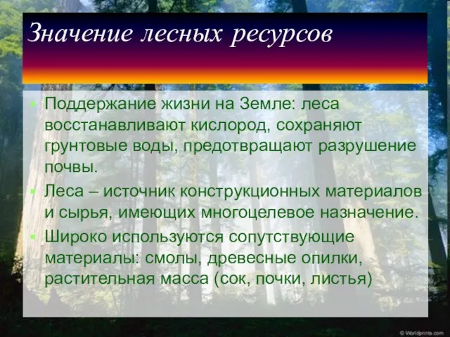 Значение лесных ресурсов Поддержание жизни на Земле: леса восстанавливают кислород, сохраняют грунтовые