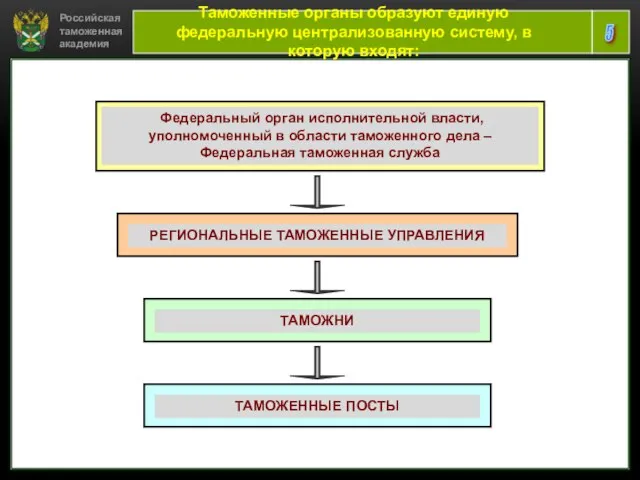 Российская таможенная академия 5 Таможенные органы образуют единую федеральную централизованную систему, в