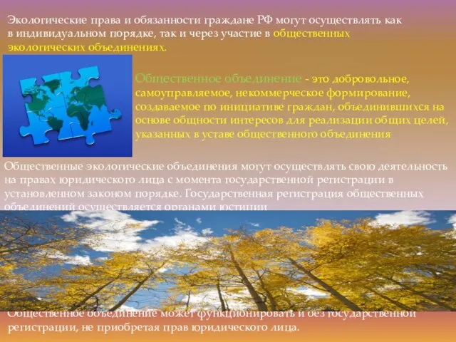 Экологические права и обязанности граждане РФ могут осуществлять как в индивидуальном порядке,