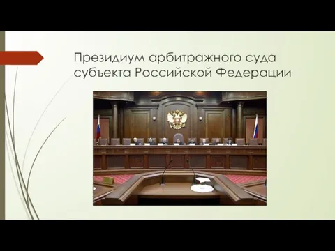 Президиум арбитражного суда субъекта Российской Федерации
