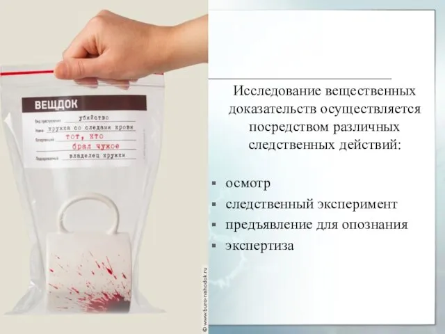 Исследование вещественных доказательств осуществляется посредством различных следственных действий: осмотр следственный эксперимент предъявление для опознания экспертиза