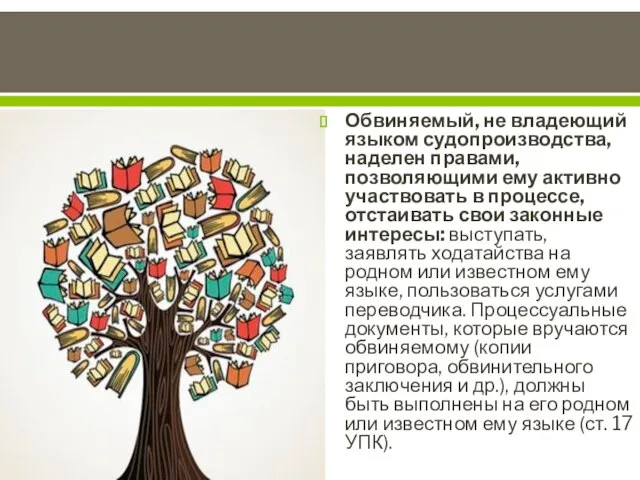 Обвиняемый, не владеющий языком судопроизводства, наде­лен правами, позволяющими ему активно участвовать в