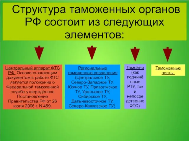 Структура таможенных органов РФ состоит из следующих элементов: Центральный аппарат ФТС РФ.