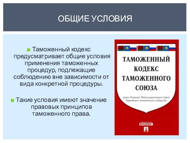 Таможенный кодекс предусматривает общие условия применения таможенных процедур, подлежащие соблюдению вне зависимости