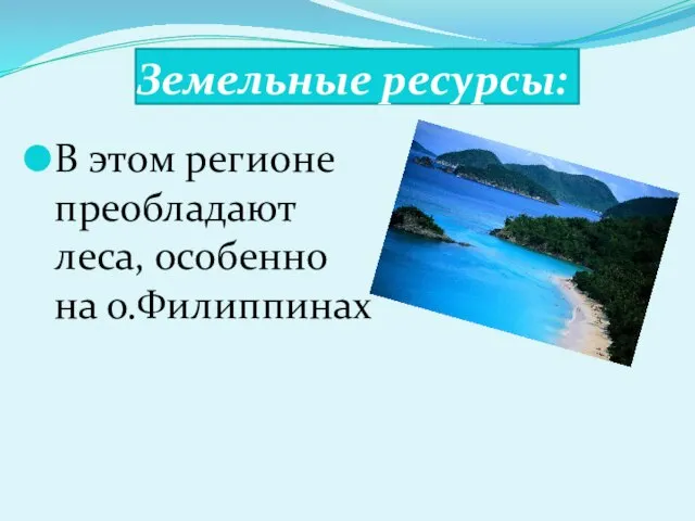 Земельные ресурсы: В этом регионе преобладают леса, особенно на о.Филиппинах