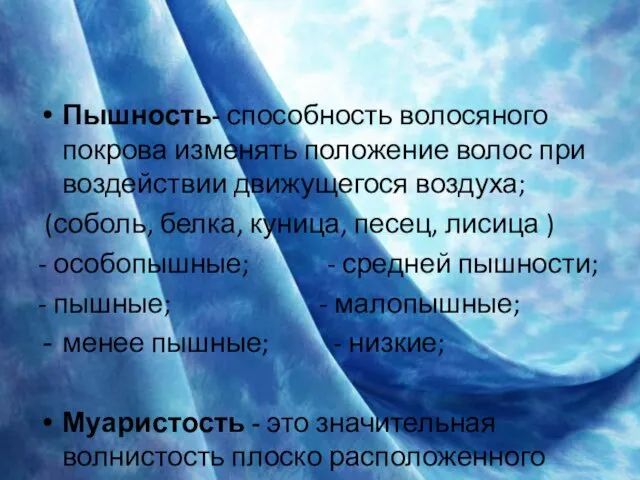 Пышность- способность волосяного покрова изменять положение волос при воздействии движущегося воздуха; (соболь,