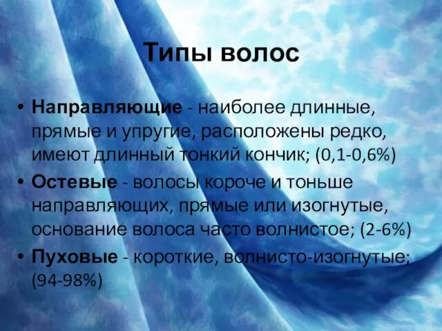 Типы волос Направляющие - наиболее длинные, прямые и упругие, расположены редко, имеют