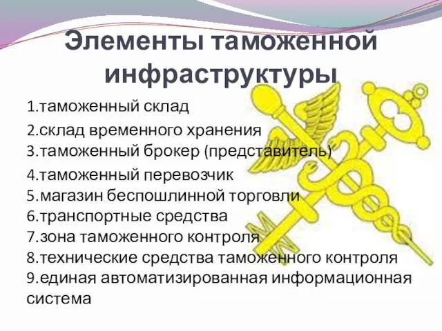 Элементы таможенной инфраструктуры 1.таможенный склад 2.склад временного хранения 3.таможенный брокер (представитель) 4.таможенный