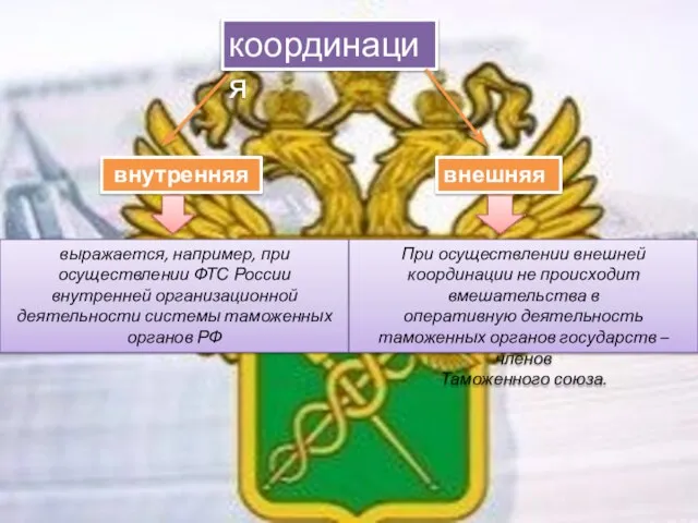 внутренняя координация внешняя выражается, например, при осуществлении ФТС России внутренней организационной деятельности