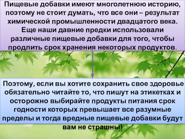 Пищевые добавки имеют многолетнюю историю, поэтому не стоит думать, что все они